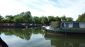 Morning in the Marina